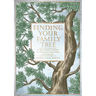 Finding Your Family Tree: A Beginner's Guide to Researching Your Genealogy