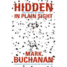 The Hidden in Plain Sight: The Secret of More
