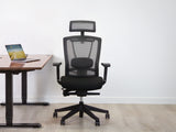 AeryChair Ergonomic Office Chair by EFFYDESK by Level Up Desks