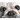 Woof! the Truth about Dogs