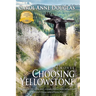 Choosing Yellowstone