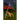 Aliens vs. Dinosaurs at the Beginning of Time