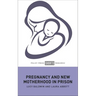 Pregnancy and New Motherhood in Prison
