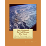 One Vagabond In Exile From The Gods: Some Personal and Metaphysical Musings