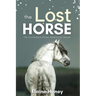 The Lost Horse - Book 6 in the Connemara Horse Adventure Series for Kids