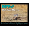 BFFs! Black-Footed Ferrets: Love for One of North Americas Most Endangered Mammals