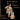 New Mexico's Own Classical Guitarist