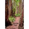 Jaunting the Path