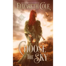 Choose the Sky: A Medieval Romance