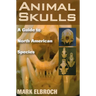Animal Skulls