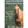 Guide to Buying Your First (or Next) Horse