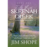 Tales From Skeenah Creek: A Civil War Historical Fiction Novel