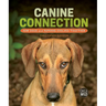 Canine Connection: How Dogs and Humans Evolved Together