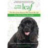 Dog Named Leaf: The Hero from Heaven Who Saved My Life