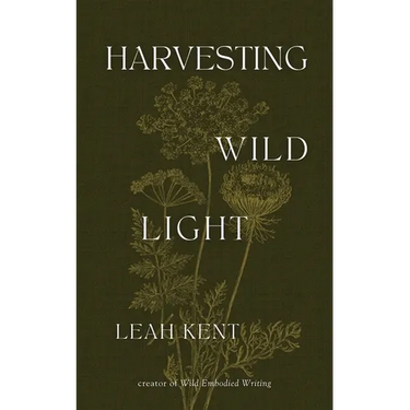 Harvesting Wild Light