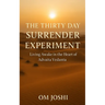 The Thirty Day Surrender Experiment: Living Awake in the Heart of Advaita Vedanta