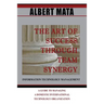 IT Management: The Art of Success Through Team Synergy
