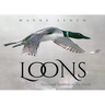Loons: Treasured Symbols of the North