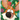 Jingle Belly