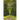 The Longest Road