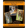 Inspirational Biography of Big Cat Rescue's "Texas Tigers"