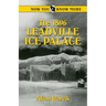 The 1896 Leadville Ice Palace