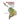 Dangerous Liaisons: Organized Crime and Political Finance in Latin America and Beyond
