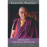 Essential Practice: Lectures on Kamalashila's Stages of Meditation in the Middle Way School