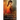 Ariadne