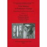 Flint Mining in Prehistoric Europe: Interpreting the archaeological records