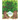 Meet the Trees