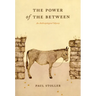 The Power of the Between: An Anthropological Odyssey
