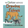 Drawing Felines: Big and Small