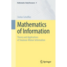Mathematics of Information: Theory and Applications of Shannon-Wiener Information