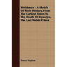 Welshmen - A Sketch of Their History, from the Earliest Times to the Death of Llywelyn, the Last Welsh Prince