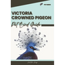 Victoria Crowned Pigeon: Pet bird guide