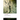 The Time Machine