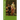 Twelfth Night