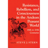 Resistance, Rebellion Andean World