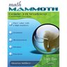 Math Mammoth Grade 3-B Worktext, Canadian Version