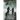 Shadows of Swartvlei