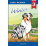 Winter the Australian Shepherd with no tail
