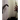 Nonhuman Photography
