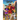 The Odyssey: The New Dawn #4
