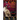 The Cats that Stopped the Magic