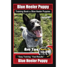 Blue Heeler Puppy Training Book for Blue Heeler Puppies By BoneUP DOG Training: Are You Ready to Bone Up? Easy Steps * Fast Results Blue Heeler Puppy