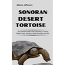 Sonoran Desert Tortoise