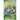 Getting Lucky: A Leprechaun/Human Middle Age Romance