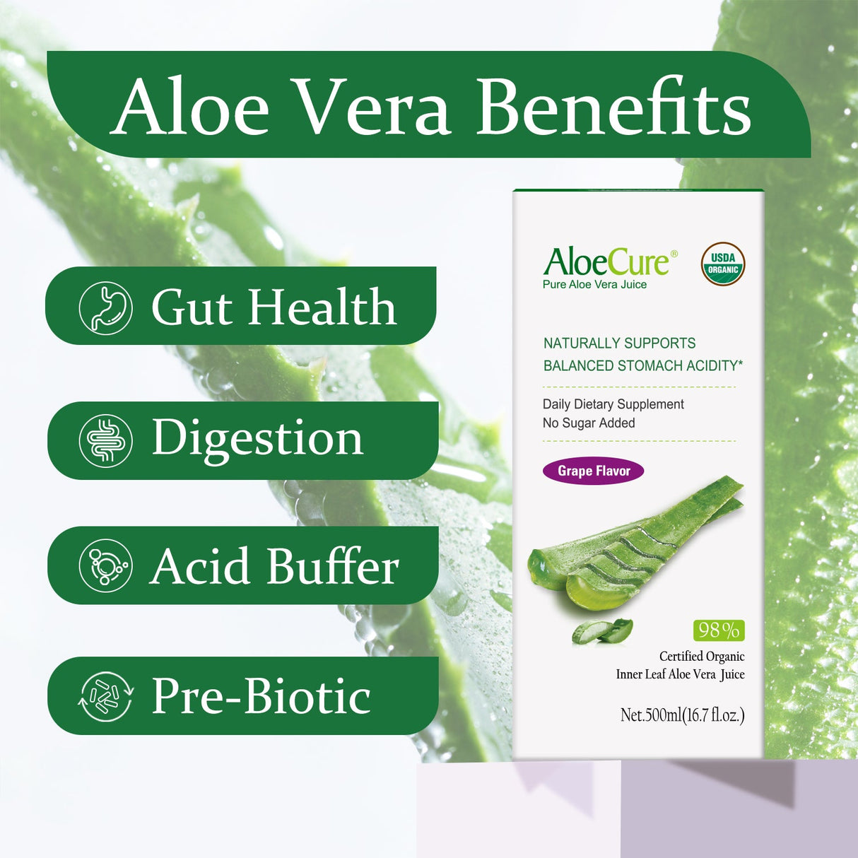 Pure Aloe Vera Juice Grape Flavor - USDA Certified Organic by AloeCure