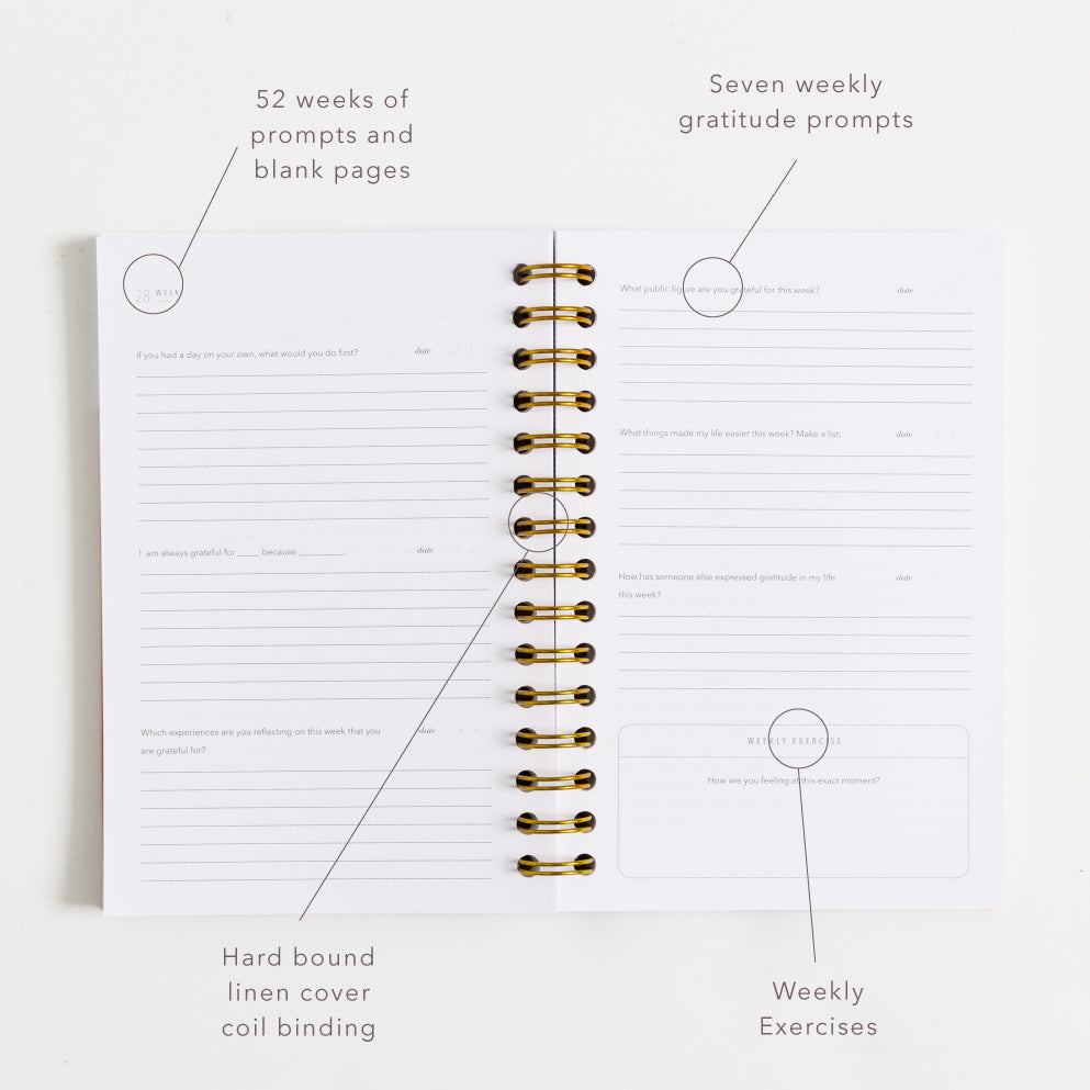 Gratitude Journals - Sea Foam by Promptly Journals